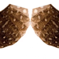 FXCOSPLAY Peacock Eyelashes