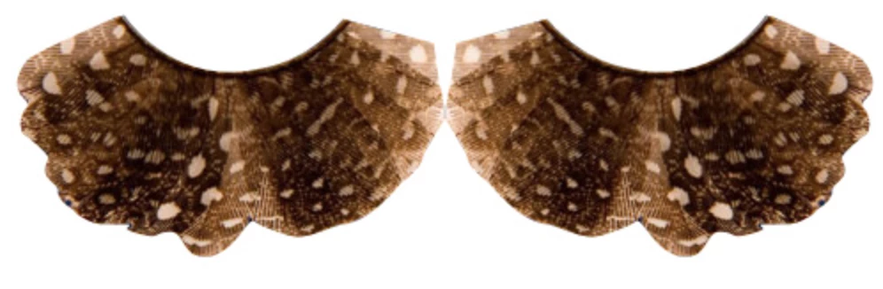 FXCOSPLAY Peacock Eyelashes 2 FXCOSPLAY Peacock Eyelashes