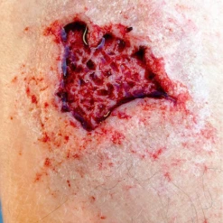 Monster Paste Prosthetic Mold #1 Prosthetics