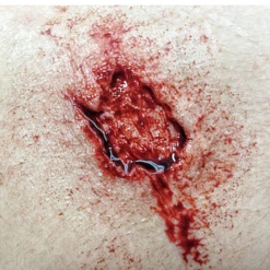 Monster Paste Prosthetic Mold #10