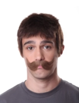 FXCOSPLAY Large Handlebar Mustache 934 Mustaches & Beards 2 FXCOSPLAY Large Handlebar Mustache 934 Mustaches & Beards