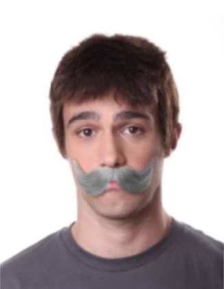 FXCOSPLAY Large Handlebar Mustache 934 Mustaches & Beards 1 FXCOSPLAY Large Handlebar Mustache 934 Mustaches & Beards