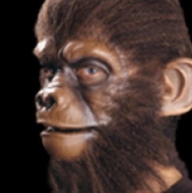 Cinema Secrets Woochie Monkey Ears Prosthetics 1 Cinema Secrets Woochie Monkey Ears Prosthetics
