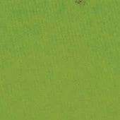 Mehron Lime Paradise Makeup AQ 3 Mehron Lime Paradise Makeup AQ