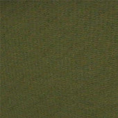 Mehron Olive Nuance Series Paradise Makeup AQ Face & Body Paint